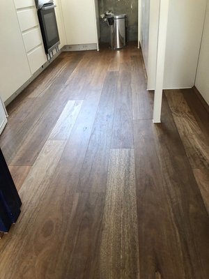 Preference Fiddleback Engineered Timber Spotted Gum Matt (Brushed) 0.6mm Veneer