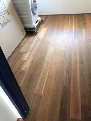 Preference Fiddleback Engineered Timber Spotted Gum Matt (Brushed) 0.6mm Veneer