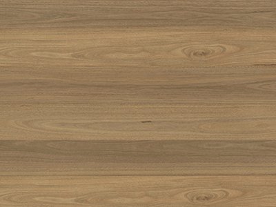 Clever Hybrid Shield Atlantic Spotted Gum