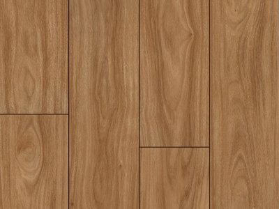 Elegance Aqua Gloss Cypresspine