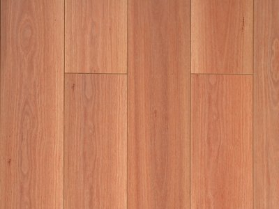 Elegance Premium Long Board Blue Gum