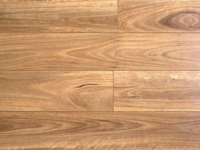 Elegance Premium Long Board Costal Blackbutt