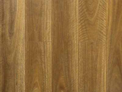 Elegance Premium Long Board NSW Spotted Gum