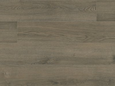 Elegance Premium Long Board Newcastle