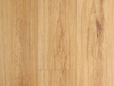 Oakleaf Laminate Blackbutt