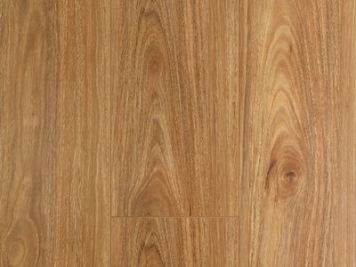 Oakleaf Laminate Spotted Gum