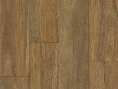 Ornato Hybrid Spotted Gum